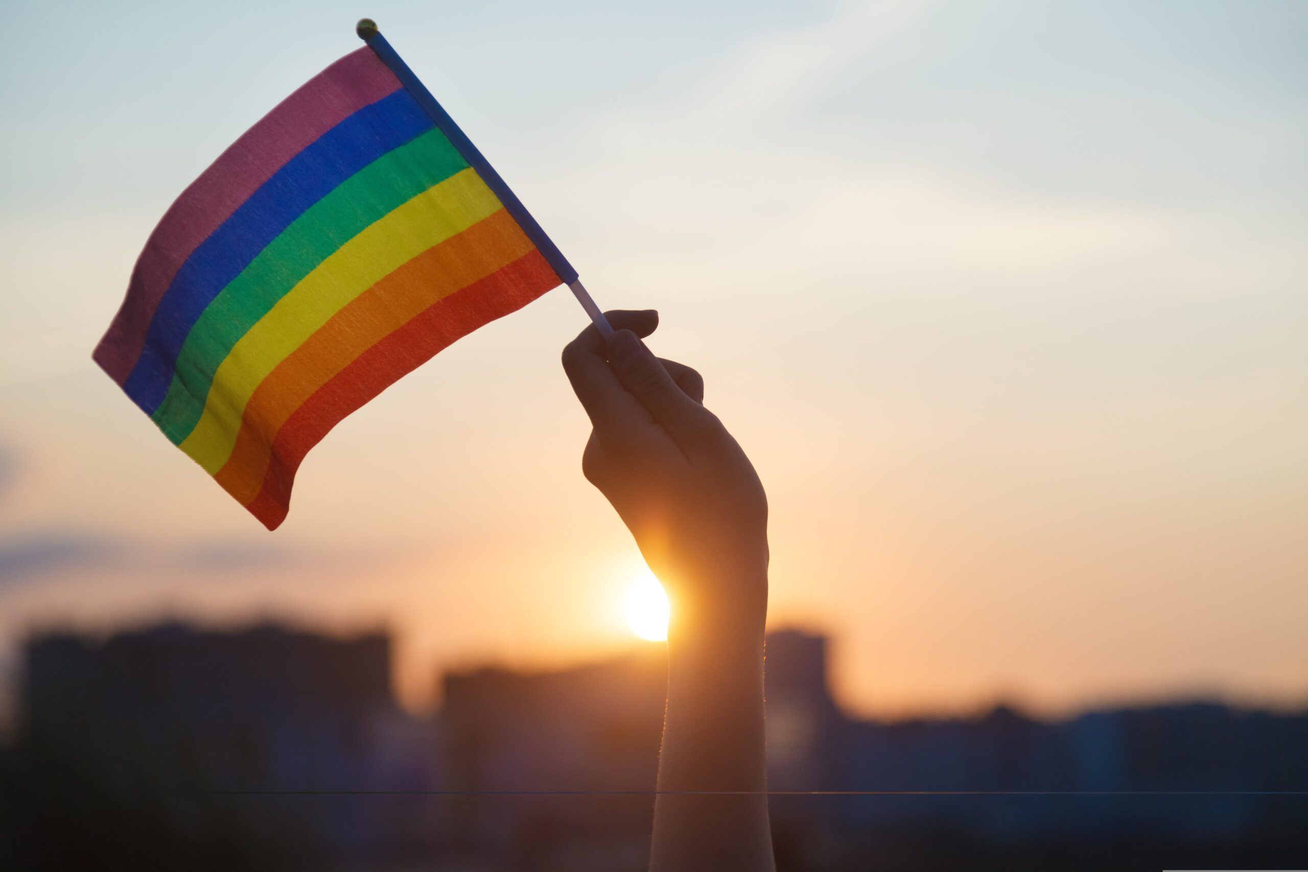 person holding LGBTQ pride flag